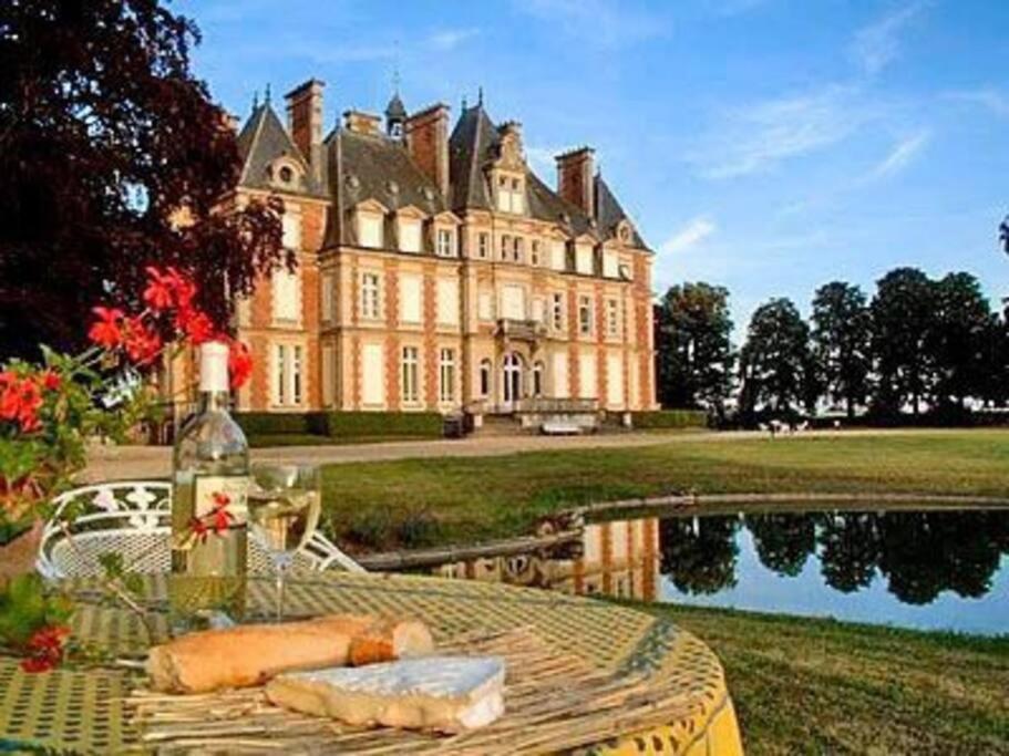 Charming Romantic Tower In Chateau Estate Ocquerre Exterior foto